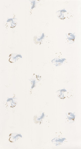 CASELIO_101756029 (1).jpg