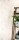 jungle-coconut-100042129-zoom-2.jpg