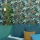 oys-odyssee-philippines-101419901-zoom.webp