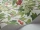StrawberryTree_Image_WaveImage_Item_100-10049.webp