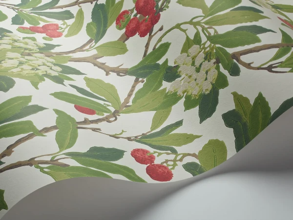 StrawberryTree_Image_WaveImage_Item_100-10049.webp