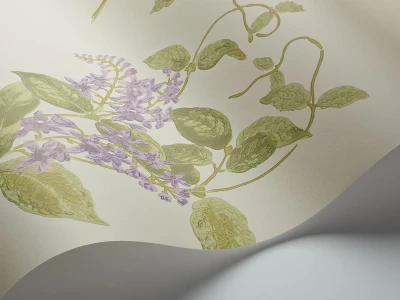 MadrasViolet_Image_WaveImage_Item_100-12056.webp