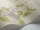 MadrasViolet_Image_WaveImage_Item_100-12056.webp