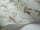 Cole_SonSelectionofHummingbirds100_14069.webp