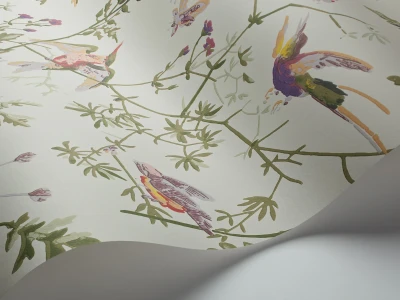 Cole_SonSelectionofHummingbirds100_14070.webp