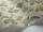 WinterBirds_Image_WaveImage_Item_100-2006.webp