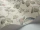 WinterBirds_Image_WaveImage_Item_100-2009.webp