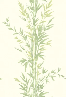 Bamboo_Image_Flatshot_Item_100-5023.webp