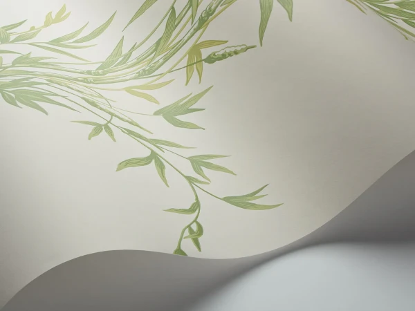 Bamboo_Image_WaveImage_Item_100-5023.webp