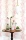 Bamboo_Image_Roomshot_Item_100-5024.webp