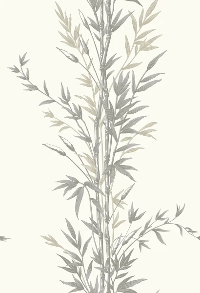 Bamboo_Image_Flatshot_Item_100-5025.webp