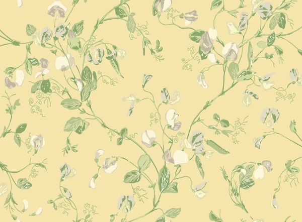 SweetPea_Image_Flatshot_Item_100-6029.webp