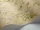 SweetPea_Image_WaveImage_Item_100-6029.webp