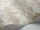 ChineseToile_Image_WaveImage_Item_100-8039.webp