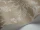 Ludlow_Image_WaveImage_Item_88-1001.webp