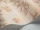 Ludlow_Image_WaveImage_Item_88-1003.webp