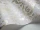 Woolverston_Image_WaveImage_Item_88-10041.webp