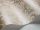 Woolverston_Image_WaveImage_Item_88-10042.webp