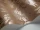 Cranley_Image_WaveImage_Item_88-5021.webp