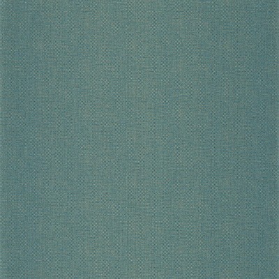 CASELIO_101576620.jpg