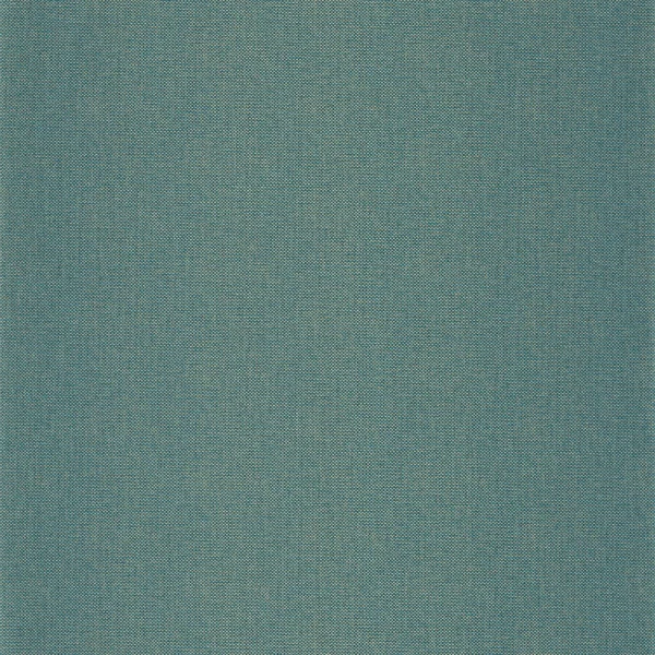 CASELIO_101576620.jpg