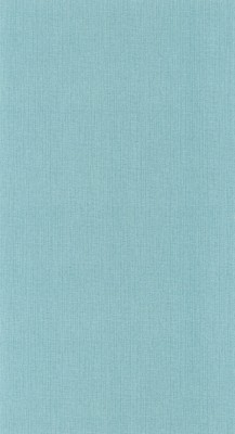 CASELIO_101566160 (1).jpg