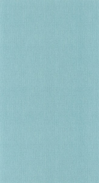 CASELIO_101566160 (1).jpg