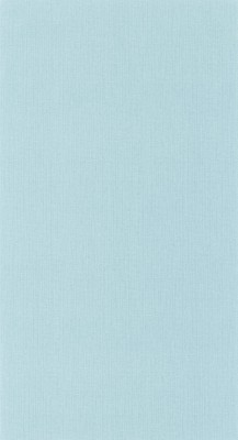 CASELIO_101566000 (1).jpg