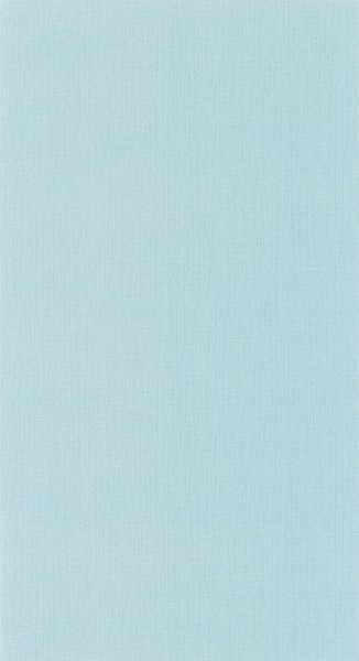 CASELIO_101566000 (1).jpg