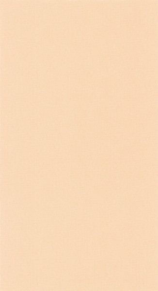 CASELIO_101562500 (1).jpg