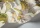 HoppeoLeaves119-1001.webp