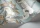 Satara119-3012.webp