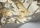 Satara119-3013.webp