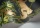 Satara119-3016.webp