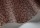 SavannaShell119-4018.jpg