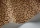 SavannaShell119-4019.webp