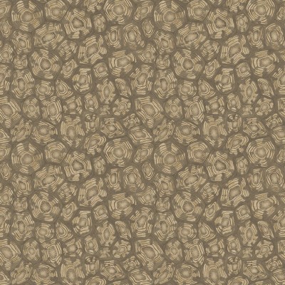 C_S_Ardmore-Jabula_119-4020SavannaShell_FlatRGB.jpg