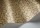 SavannaShell119-4020.jpg