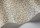 SavannaShell119-4022.jpg