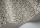 SavannaShell119-4023.jpg