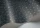SavannaShell119-4024.webp