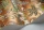 AfrikaKingdom119-5025.webp