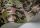AfrikaKingdom119-5027.webp