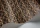 Kalahari119-6028.webp