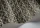 Kalahari119-6029.webp