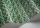 Kalahari119-6030.webp