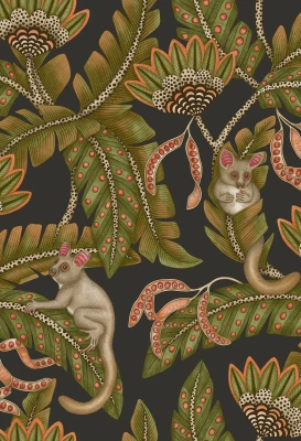 C_S_Ardmore-Jabula_119-7031BushBaby_FlatRGB.webp