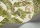 BushBaby119-7032.webp