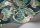 BushBaby119-7034.webp