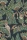 C_S_Ardmore-Jabula_119-7034BushBaby_FlatRGB.webp